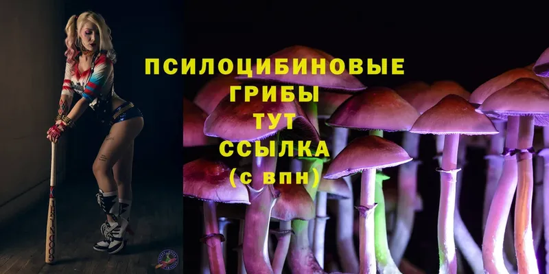 KRAKEN ССЫЛКА  Воткинск  Галлюциногенные грибы Psilocybine cubensis 